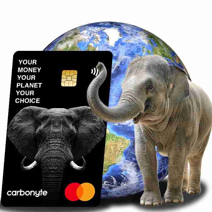 carbonyte case study cover image