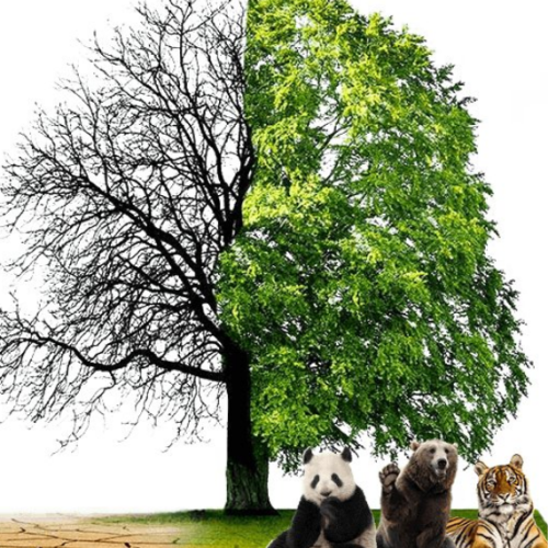 depiction effects of global warming